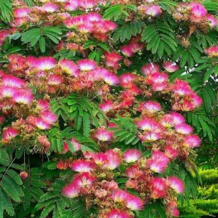 Apartament Moriani Les Marines De Moriani